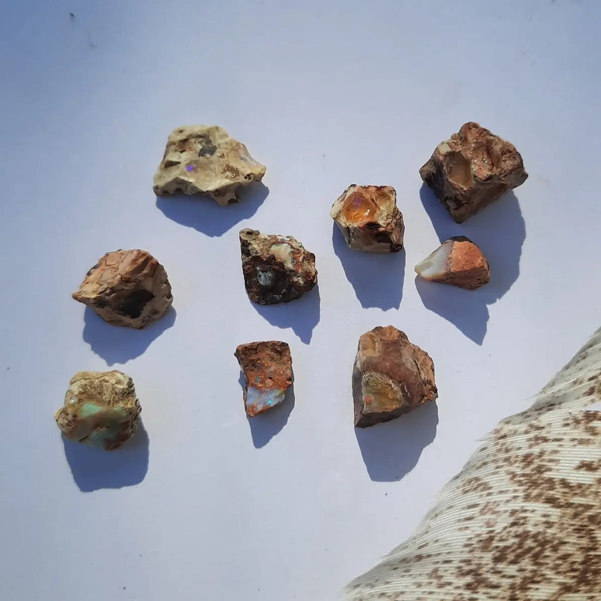 Ópalo Mexicano en Matriz | Piedra Natural Irregular (Unidad)