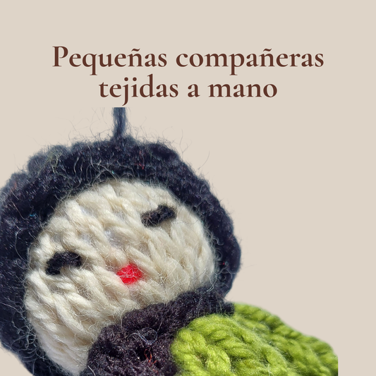Imagen informativa de muñeca tejida artesanal sobre fondo beige, con texto "Pequeñas compañeras tejidas a mano".