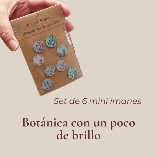 Imagen informativa de mini imanes holográficos botánicos sobre fondo beige, con texto "Pequeños destellos botánicos · Set de 6 imanes holográficos".
