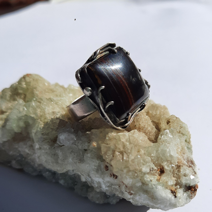 Anillo de Plata 950 con Iron Tiger (Ojo de Tigre) – Talla 15 (US 7.5) – Pieza única