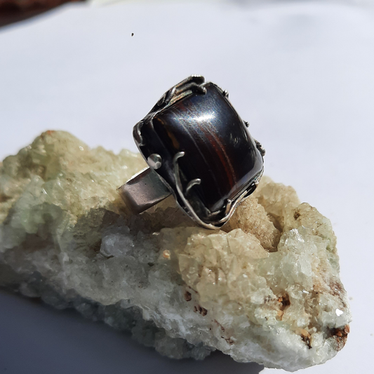 Anillo de Plata 950 con Iron Tiger (Ojo de Tigre) – Talla 15 (US 7.5) – Pieza única