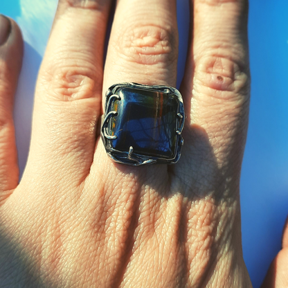 Anillo de Plata 950 con Iron Tiger (Ojo de Tigre) – Talla 15 (US 7.5) – Pieza única