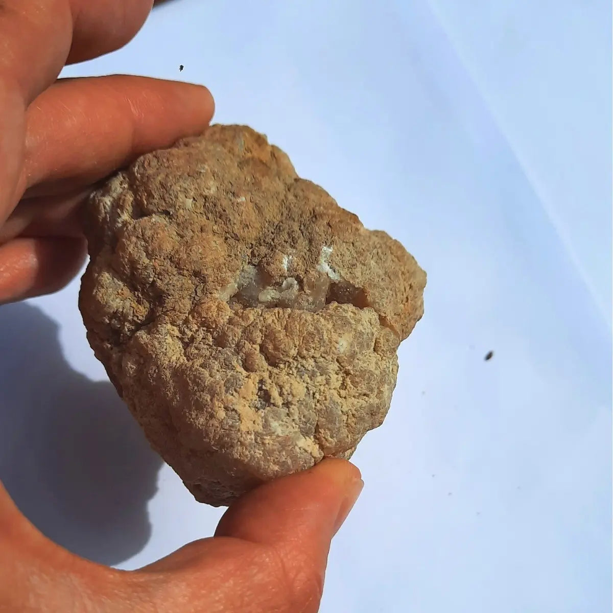 Geoda de cuarzo natural origen México sostenida en la mano para mostrar su tamaño.
