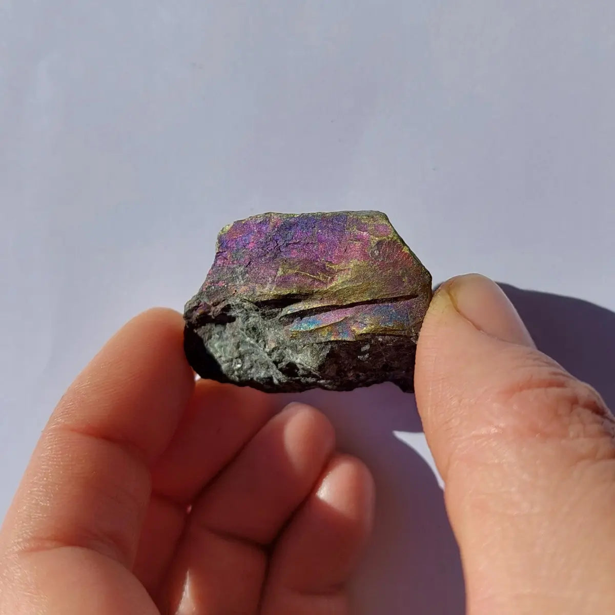 Calcopirita iridiscente chilena en bruto con brillo metálico y reflejos tornasolados.