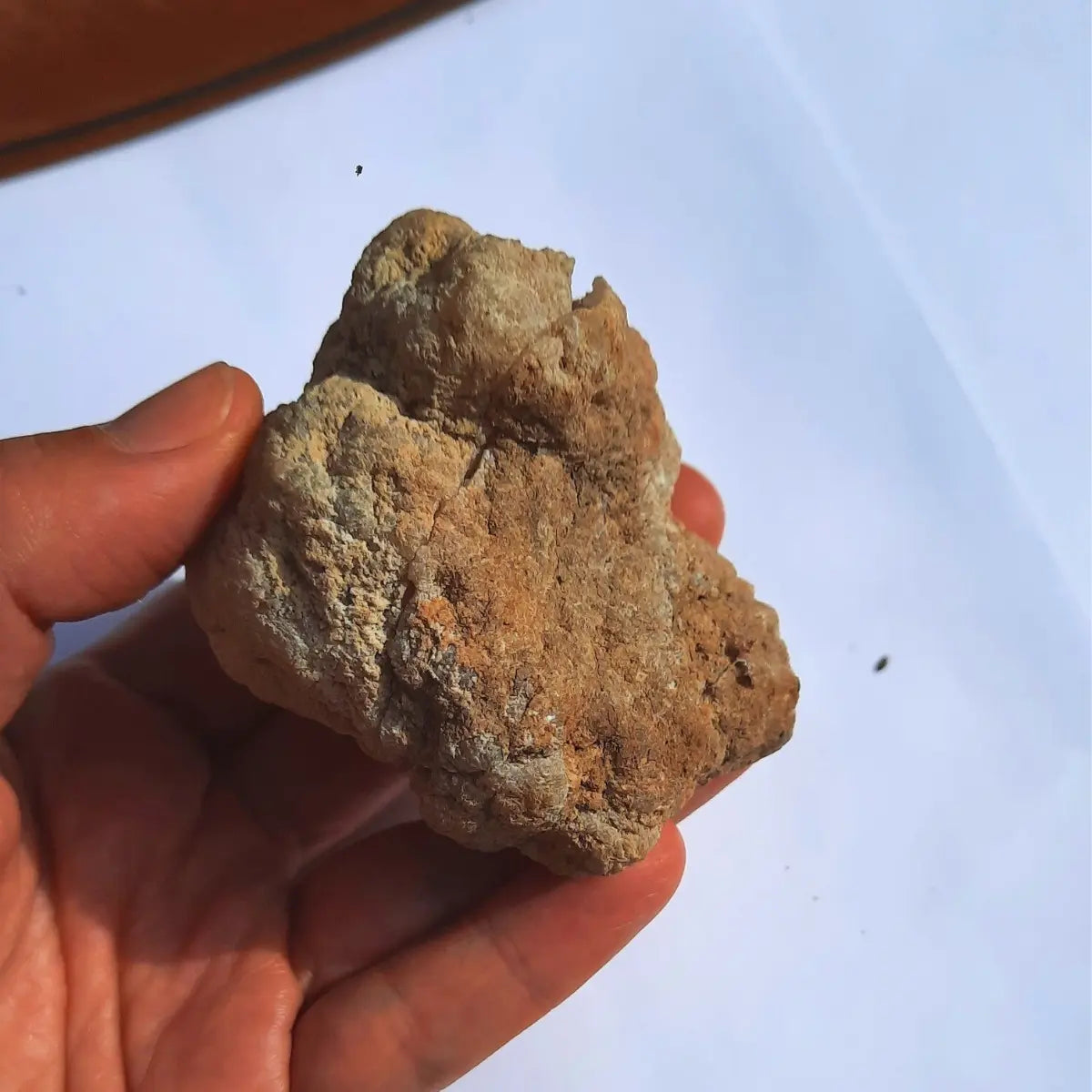 Geoda de cuarzo natural origen México sostenida en la mano para mostrar su tamaño.