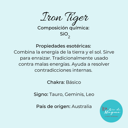 Anillo de Plata 950 con Iron Tiger (Ojo de Tigre) – Talla 15 (US 7.5) – Pieza única