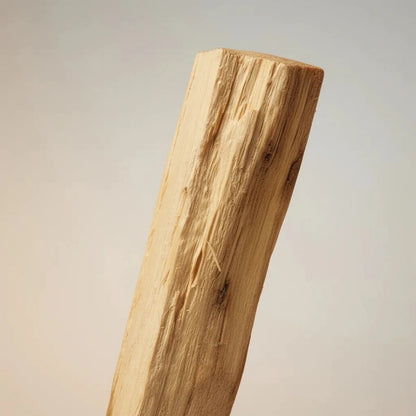 Palo Santo Natural | Pack 2–3 Varas (20 g) | Bolsa de Algodón